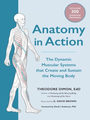 cover image of Anatomy in Action
